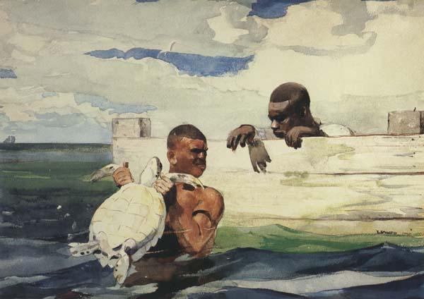 Winslow Homer The Turtle Pound (mk44) oil painting picture